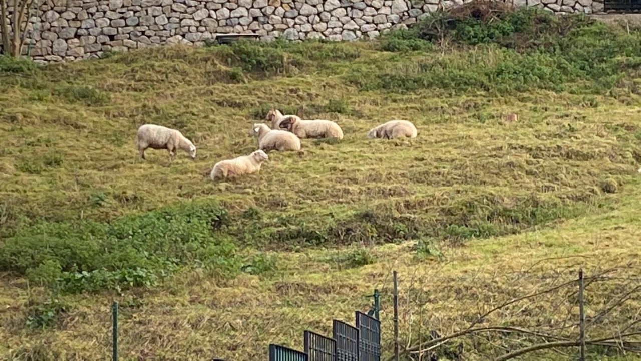 La Casa De Fito Cerca Del Centro De Comillas Εξωτερικό φωτογραφία